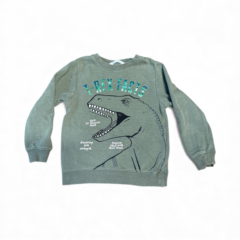 H&M Green T-Rex Facts Sweatshirt Kids Size 4-6Y Dinosaur Graphic Pullover